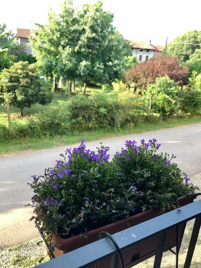Casa Giulia - Valeggio Sul Mincio Apartment